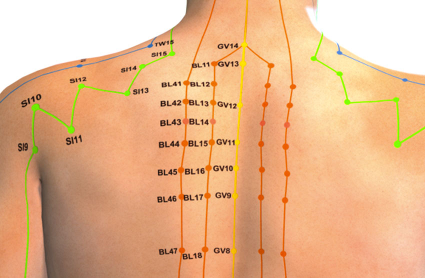  Acupuncture Guide